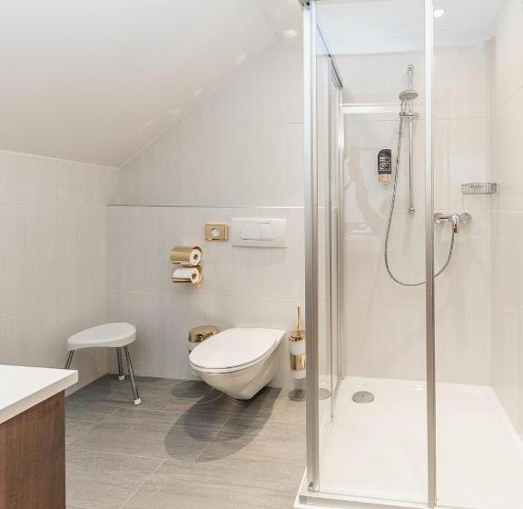 Номер Стандарт Индивидуальный, Vitalhotel Marienhof