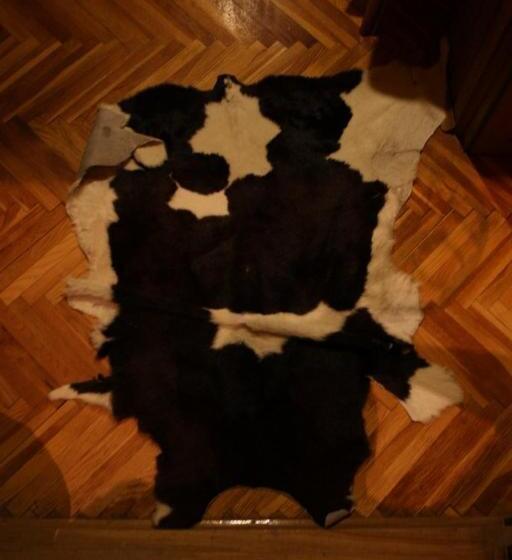 ویلای 1 خوابه, Art Home