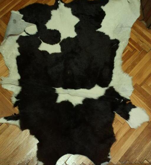 ویلای 1 خوابه, Art Home