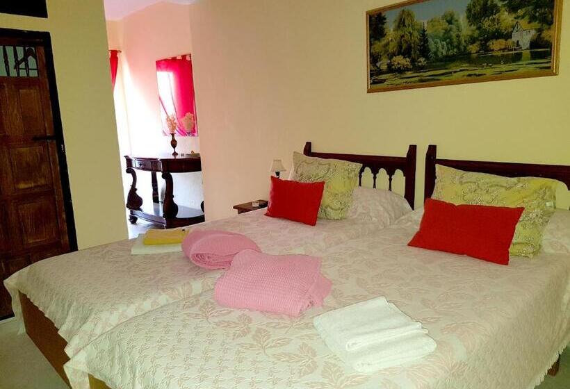 Номер Стандарт, El Artista