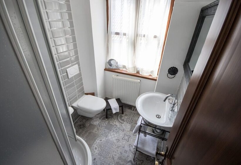 اتاق استاندارد یک نفره, Ovo Malo Duše