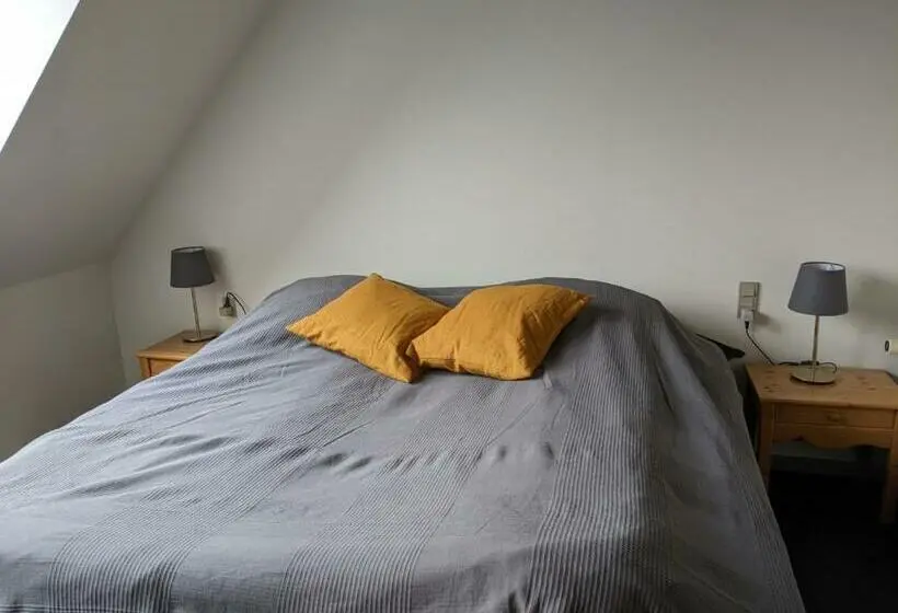 Camera Standard, Sevel Kro