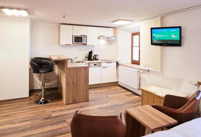 דירת חדר בקומת קרקע, Tirolerhof   Appartementhaus