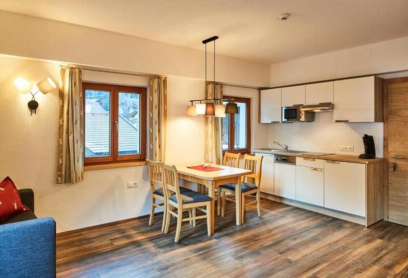 דירה בת חדר שינה 1 עם מרפסת, Tirolerhof   Appartementhaus