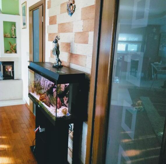 דירת חדר דלוקס, Apartments Europa