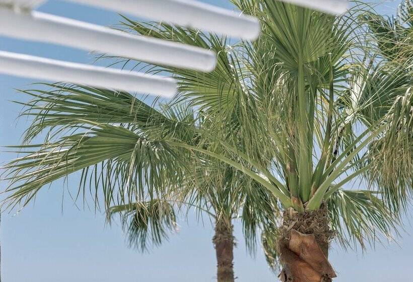 Полулюкс Вид на Море, Mykonos Blanc   Preferred Hotels & Resorts