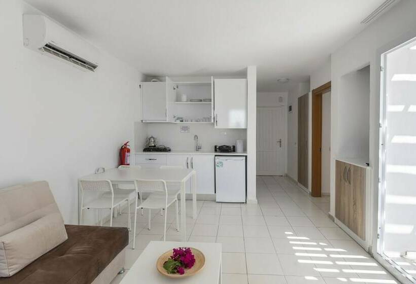 דירת חדר, Vega Aparts