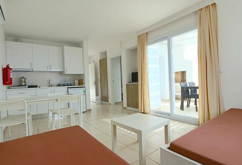 דירת חדר, Vega Aparts