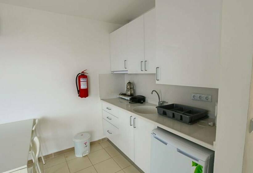 דירת חדר, Vega Aparts