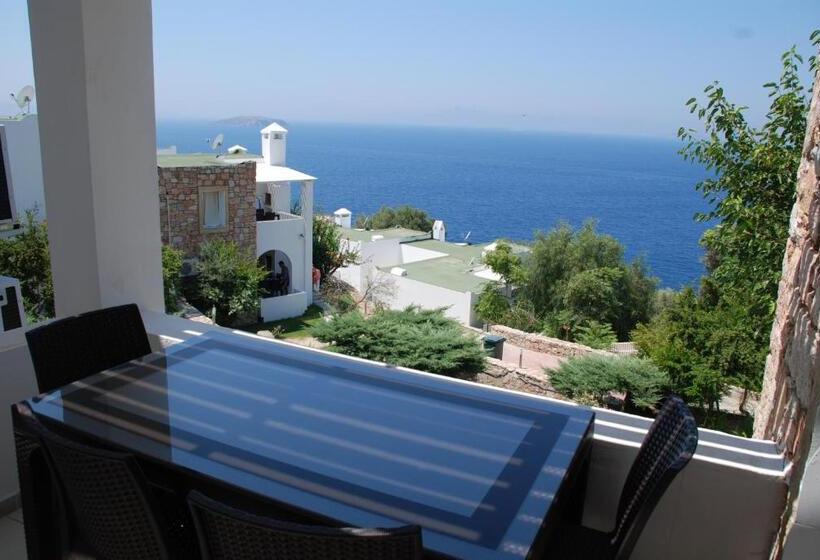 דירת חדר, Vega Aparts