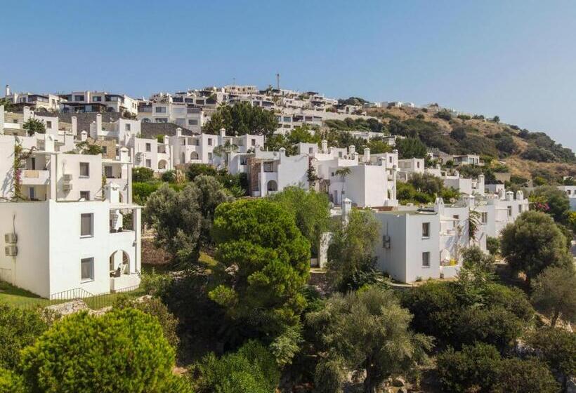 דירת חדר, Vega Aparts