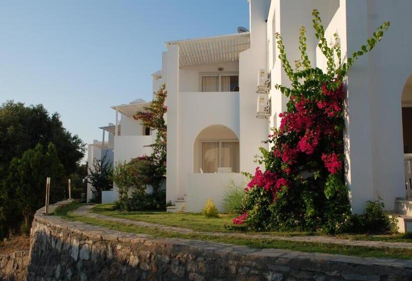 דירת שני חדרים, Vega Aparts