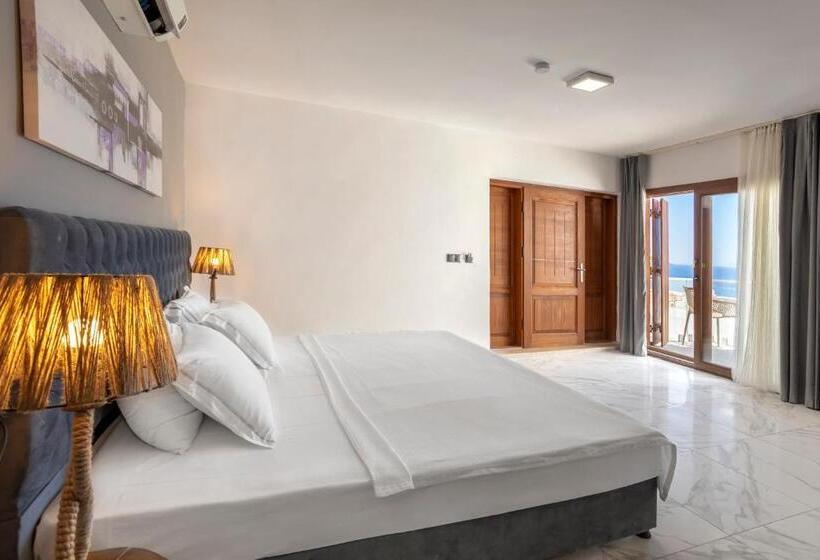 חדר סטנדרט, Vega Aparts