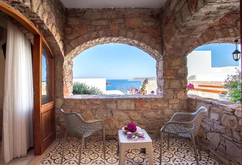 חדר דלוקס, Vega Aparts