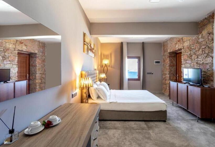 חדר דלוקס, Vega Aparts