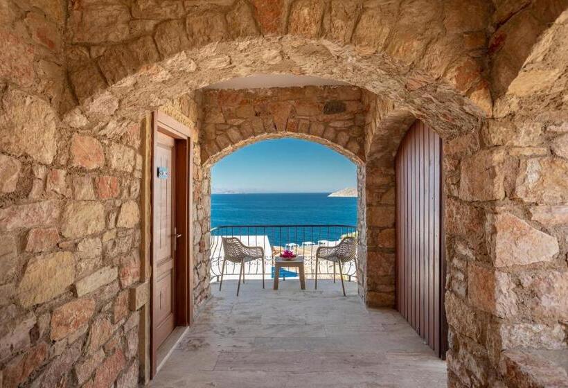 חדר דלוקס, Vega Aparts