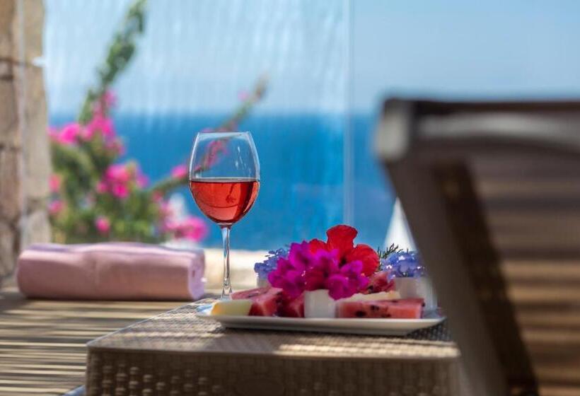 סוויטת ג'וניור, Vega Aparts