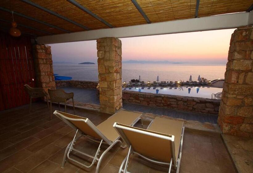 סוויטת ג'וניור, Vega Aparts