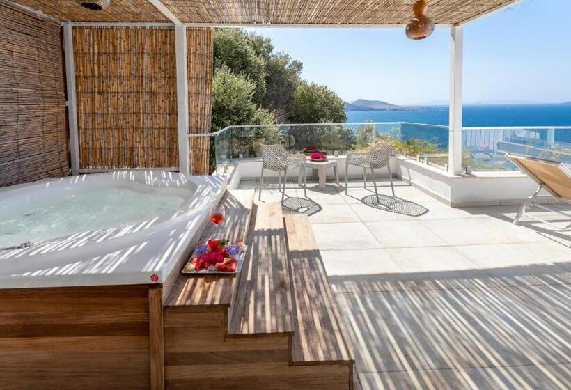 סוויטה, Vega Aparts