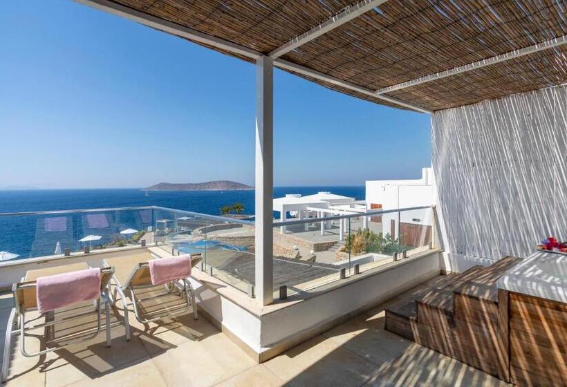 סוויטה, Vega Aparts