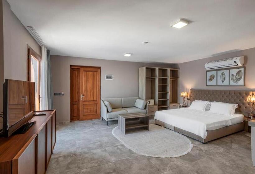 סוויטה, Vega Aparts