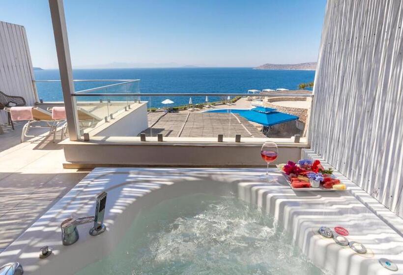 סוויטה, Vega Aparts