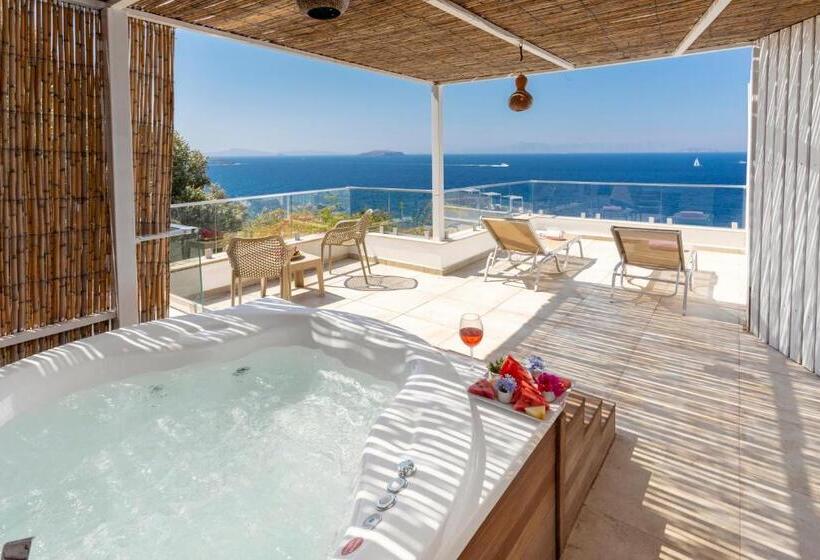 סוויטה, Vega Aparts