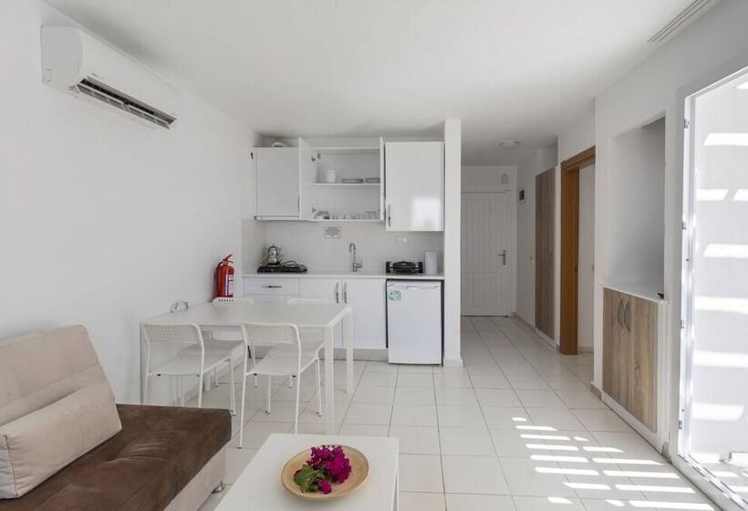 דירת חדר, Vega Aparts