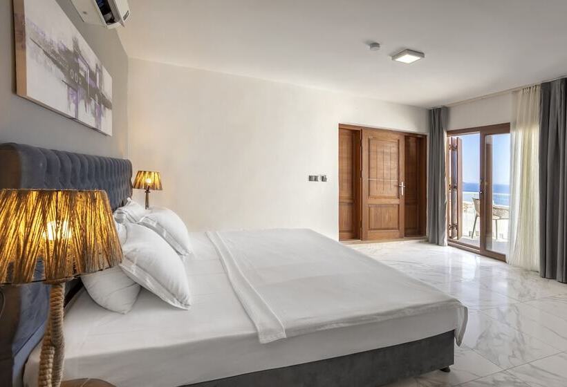 חדר סטנדרט מיטה זוגית, Vega Aparts