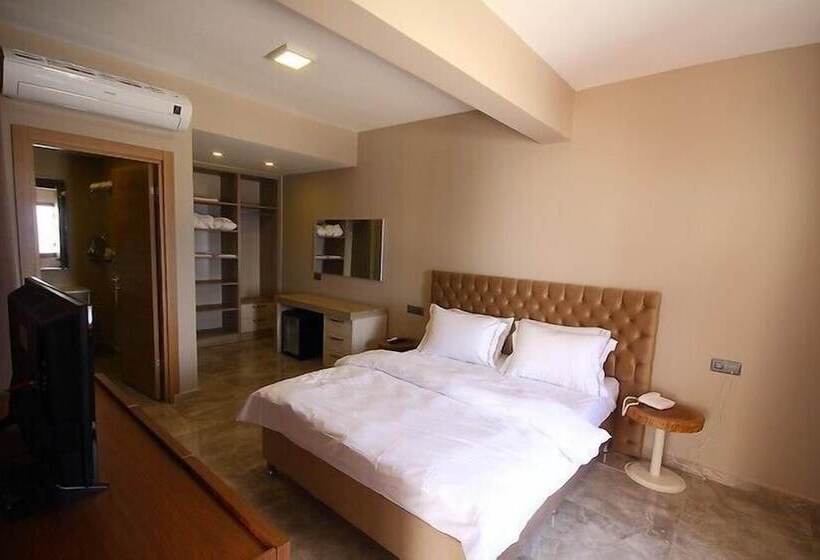 חדר סטנדרט מיטה זוגית, Vega Aparts