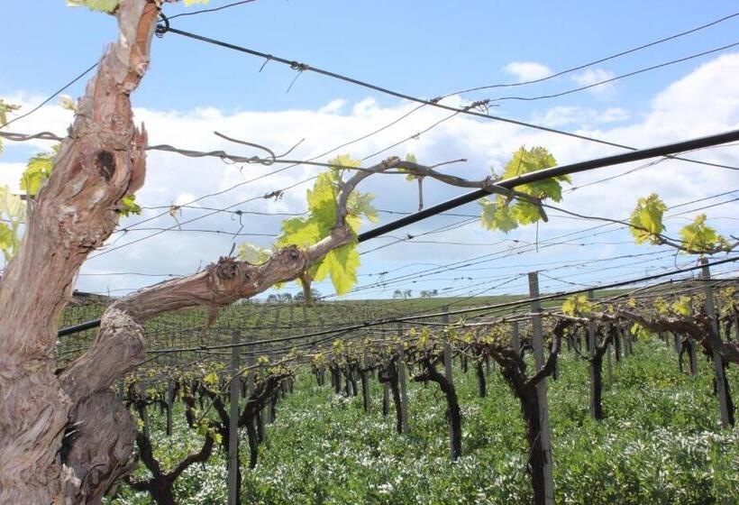 スタンダードルーム, Agriturismo La Casa Di Bacco