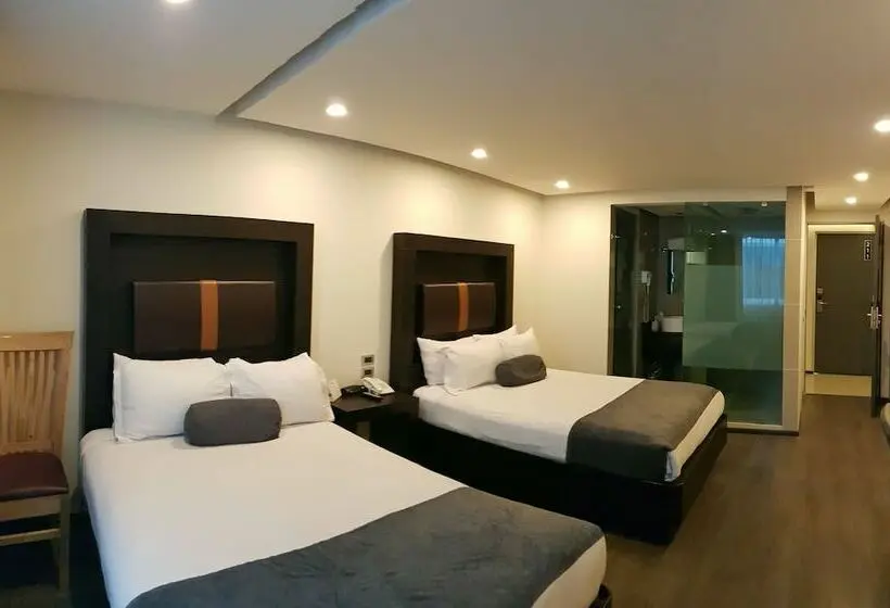 اتاق استاندارد با 2 تخت دوبل, Best Western Plus Metepec & Suites