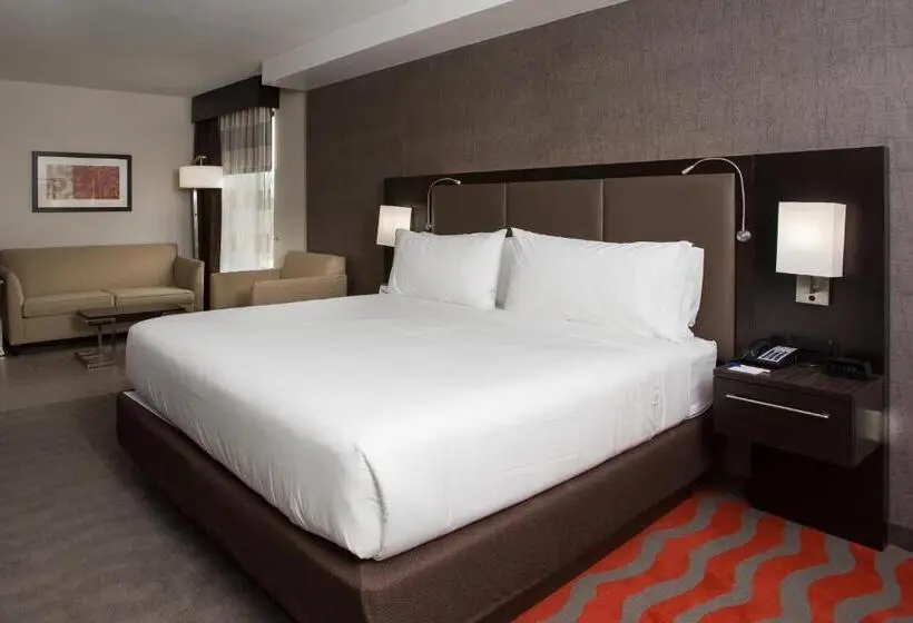 Standard-invahuone King-vuode, Holiday Inn Express Springfield Downtown, An Ihg