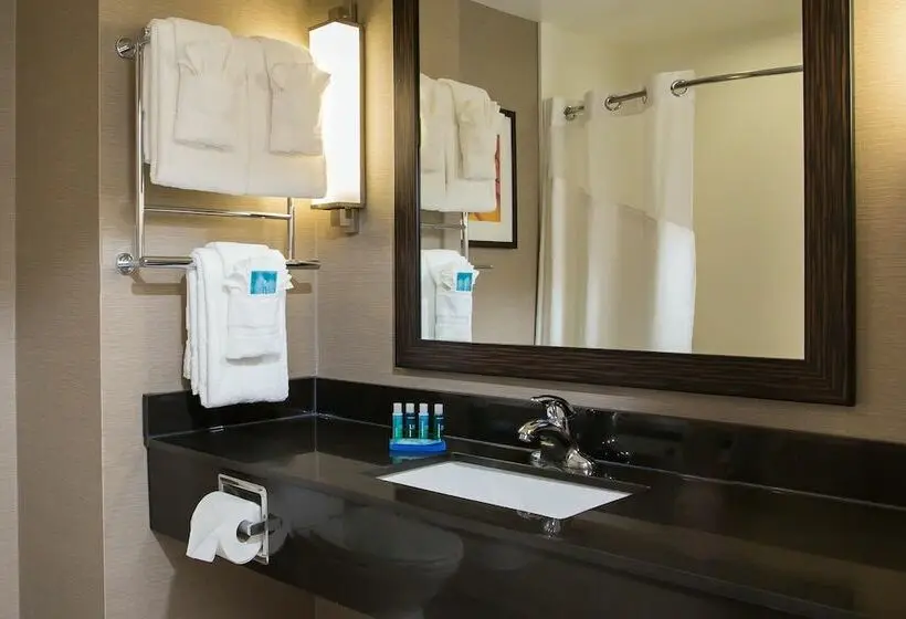 Sviitti, Holiday Inn Express Springfield Downtown, An Ihg