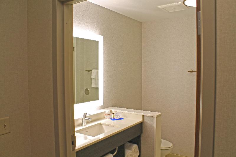 Люкс Кровать Кинг, Holiday Inn Express & Suites St. Louis South I 55, An Ihg