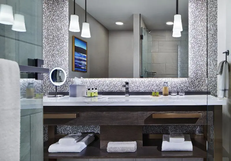 キングサイズベッドのデラックスルーム, Intercontinental Minneapolis St. Paul Airport, An Ihg