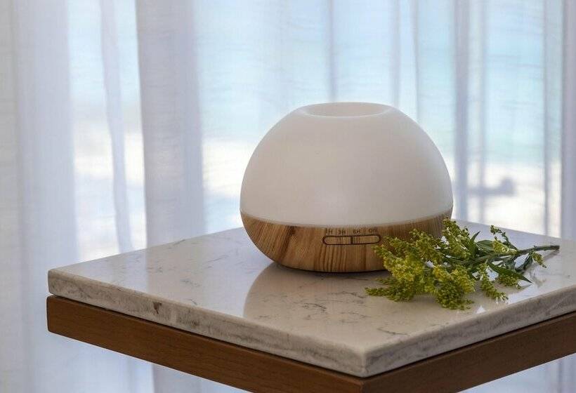 皇家房间, Le Blanc Resort Los Cabos Adults Only   All Inclusive