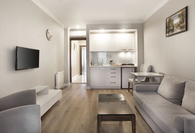 آپارتمان لوکس 1 خوابه, Allegra Suites Galata