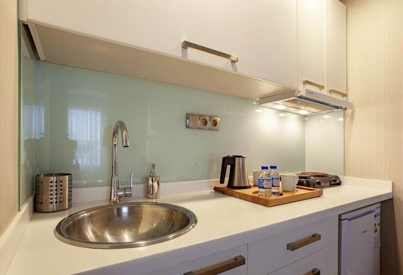 آپارتمان لوکس 1 خوابه, Allegra Suites Galata