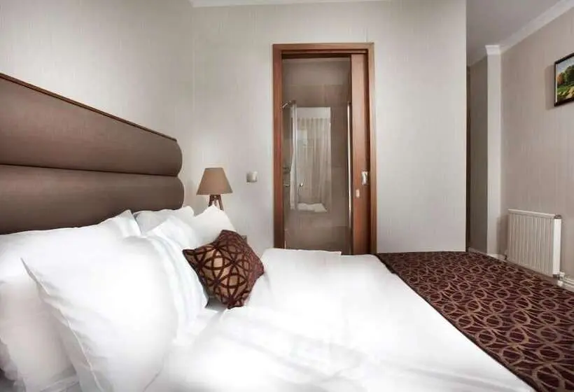 1ベッドルームのデラックスアパートメント, Allegra Suites Galata