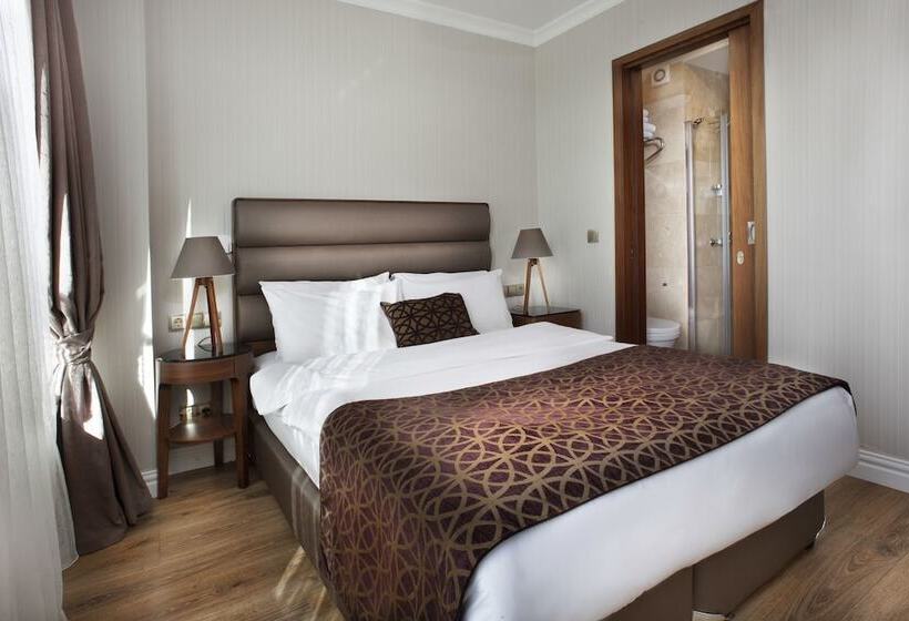 آپارتمان لوکس 1 خوابه, Allegra Suites Galata