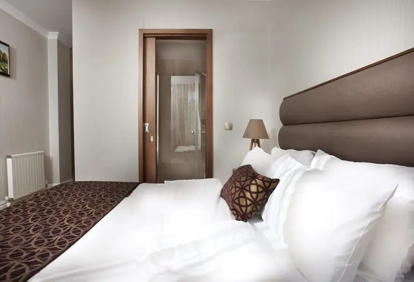 1ベッドルームのデラックスアパートメント, Allegra Suites Galata
