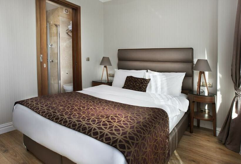 آپارتمان لوکس 1 خوابه, Allegra Suites Galata