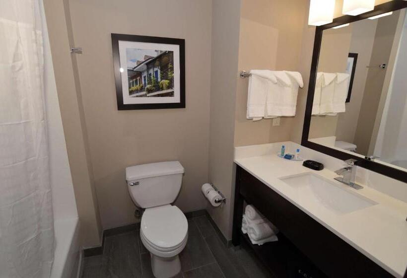 带大床的标准间, Wyndham Garden New Roads / False River