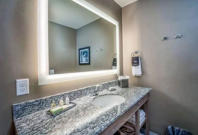 Sviitti Liikuntarajoitteisille, Best Western Plus Heber Valley
