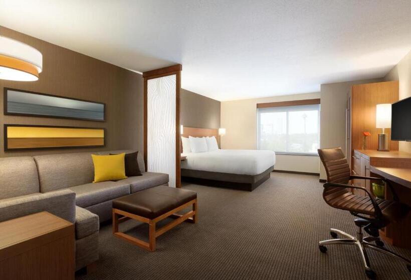 חדר סטנדרט עם מיטת קינג, Hyatt Place Niagara Falls