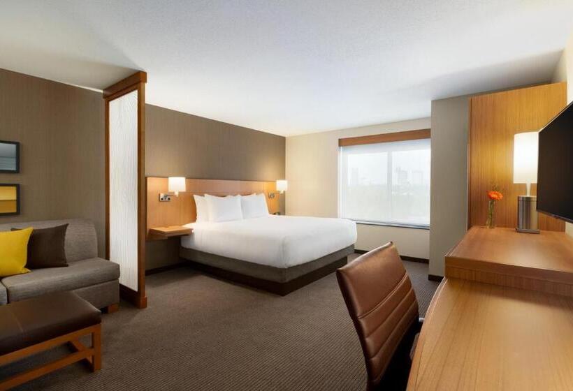 Номер Стандарт Кровать Кинг Адаптированный для Инвалидов, Hyatt Place Niagara Falls