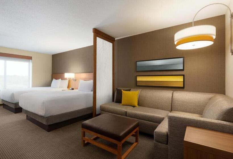 חדר סטנדרט, מיטת קינג, מותאם לאדם עם מוגבלויות, Hyatt Place Niagara Falls