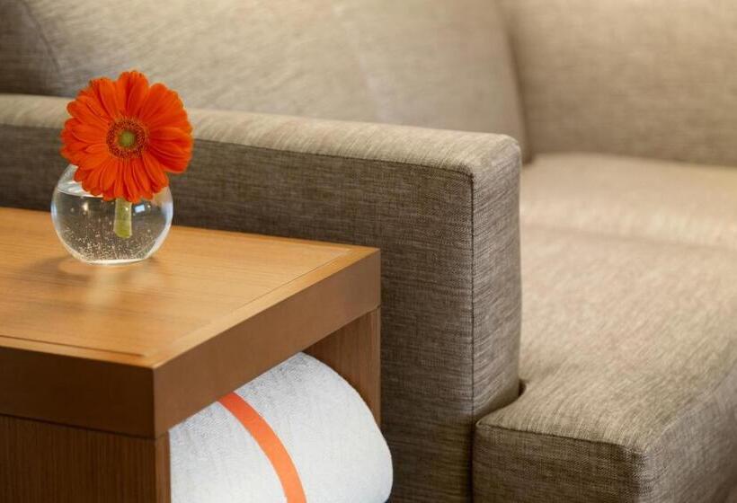 סוויטה מותאמת לאדם עם מוגבלויות, Hyatt Place Niagara Falls