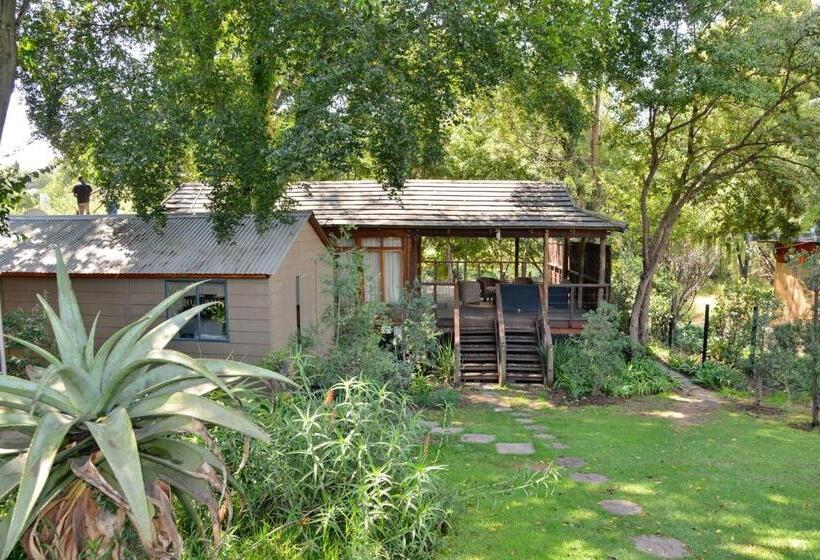 استودیوی استاندارد, Sand River Guest House